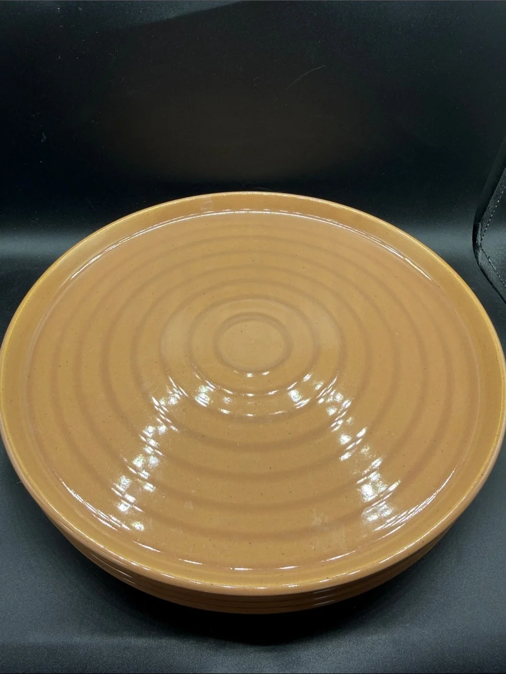 Stoneware Dinner Plates in Warm Tan - Set of 4 Hearth & Hand